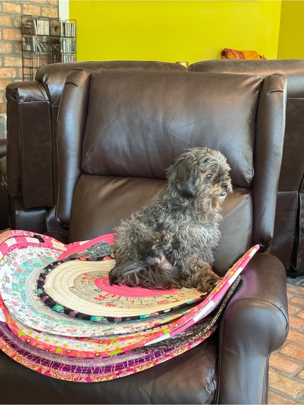 Service Dog Settle Mat Jelly Roll Rug Handmade Pet Cat Mat 18 in round